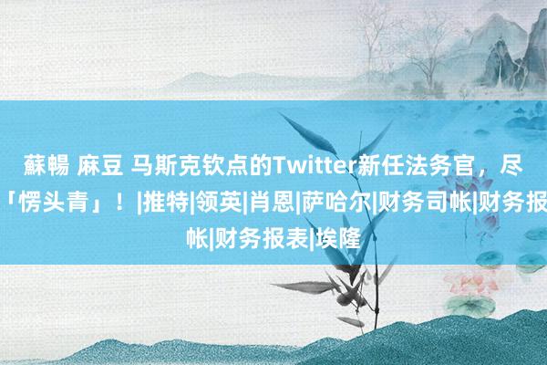 蘇暢 麻豆 马斯克钦点的Twitter新任法务官，尽然是个「愣头青」！|推特|领英|肖恩|萨哈尔|财务司帐|财务报表|埃隆