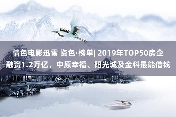 情色电影迅雷 资色·榜单| 2019年TOP50房企融资1.2万亿，中原幸福、阳光城及金科最能借钱