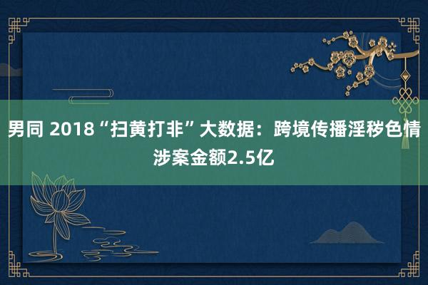 男同 2018“扫黄打非”大数据：跨境传播淫秽色情涉案金额2.5亿