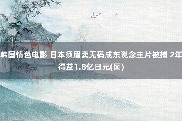 韩国情色电影 日本须眉卖无码成东说念主片被捕 2年得益1.8亿日元(图)