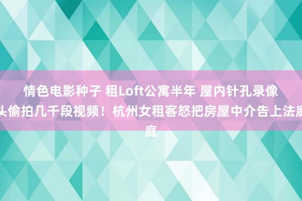 情色电影种子 租Loft公寓半年 屋内针孔录像头偷拍几千段视频！杭州女租客怒把房屋中介告上法庭