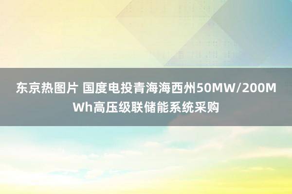 东京热图片 国度电投青海海西州50MW/200MWh高压级联储能系统采购