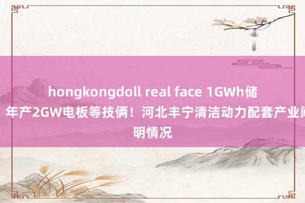 hongkongdoll real face 1GWh储能电站！年产2GW电板等技俩！河北丰宁清洁动力配套产业阐明情况