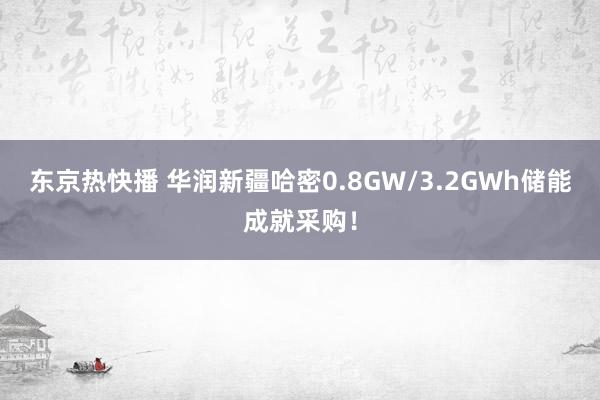 东京热快播 华润新疆哈密0.8GW/3.2GWh储能成就采购！