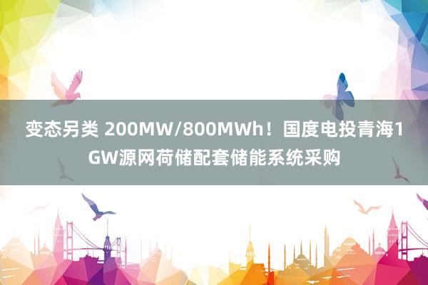 变态另类 200MW/800MWh！国度电投青海1GW源网荷储配套储能系统采购