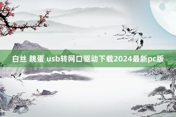 白丝 跳蛋 usb转网口驱动下载2024最新pc版