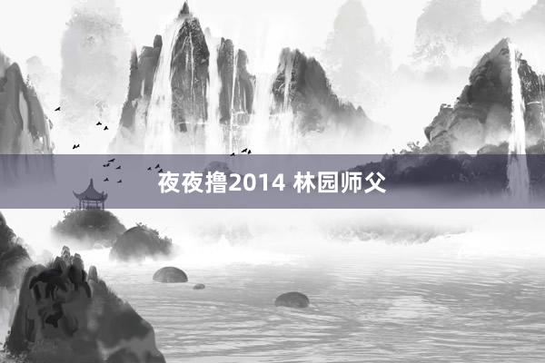 夜夜撸2014 林园师父